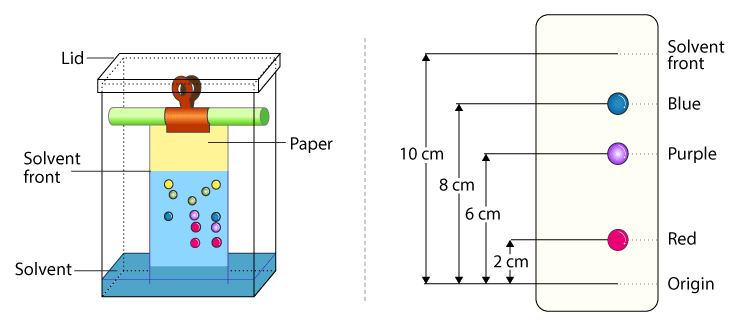 Paper Chromatography